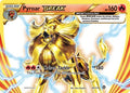 Pyroar BREAK - 024/114 - XY - Steam Siege