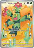 Maractus Front