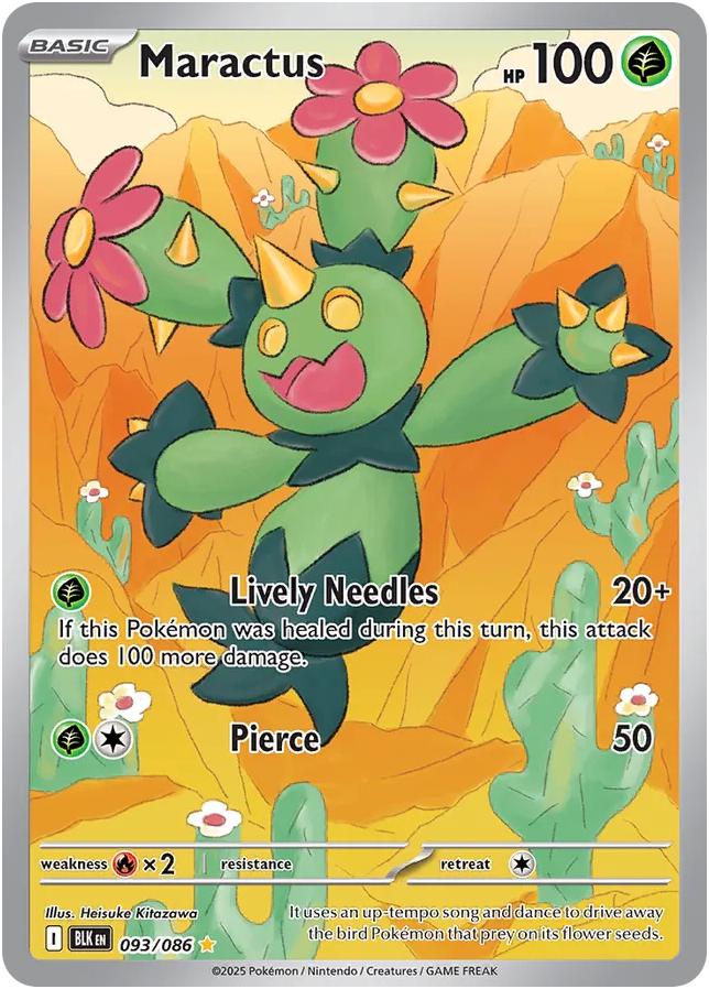 Maractus Front