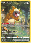 Bidoof - GG29/GG70 - SWSH: Crown Zenith: Galarian Gallery