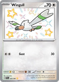 Wingull - 203/091 - SV: Paldean Fates