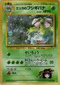 Erika's Venusaur - 003 - Challenge from the Darkness