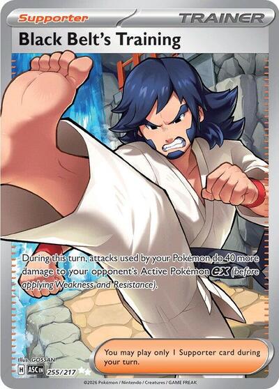 Black Belt's Training - 255/217 - ME: Ascended Heroes