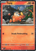 Tepig (Cosmos Holo) - 029/217 - Miscellaneous Cards & Products