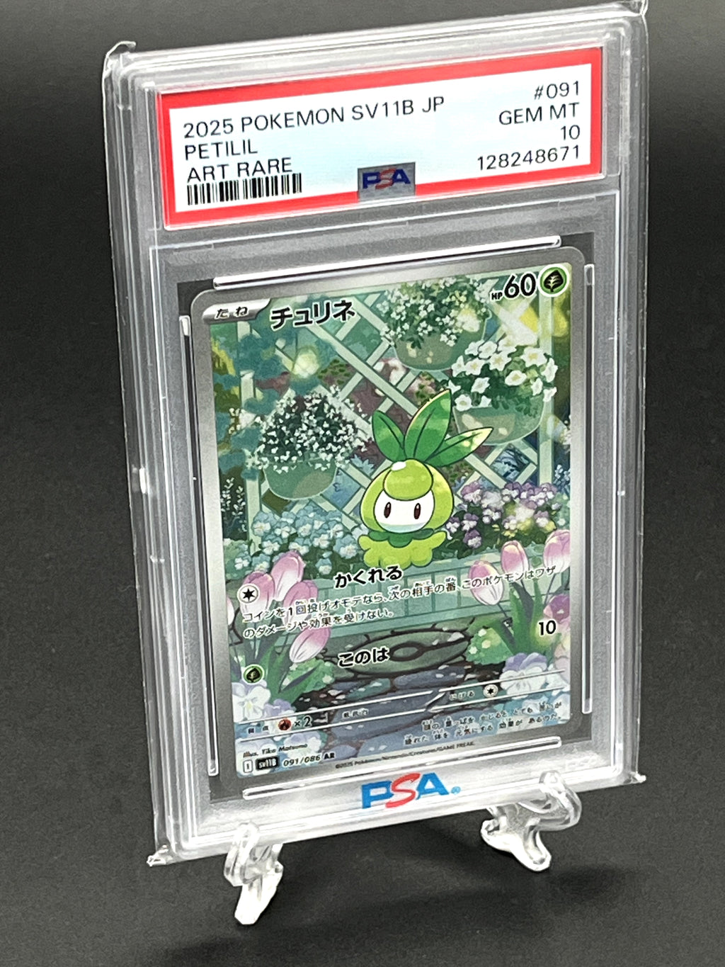 Petilil PSA 10 Photo 1