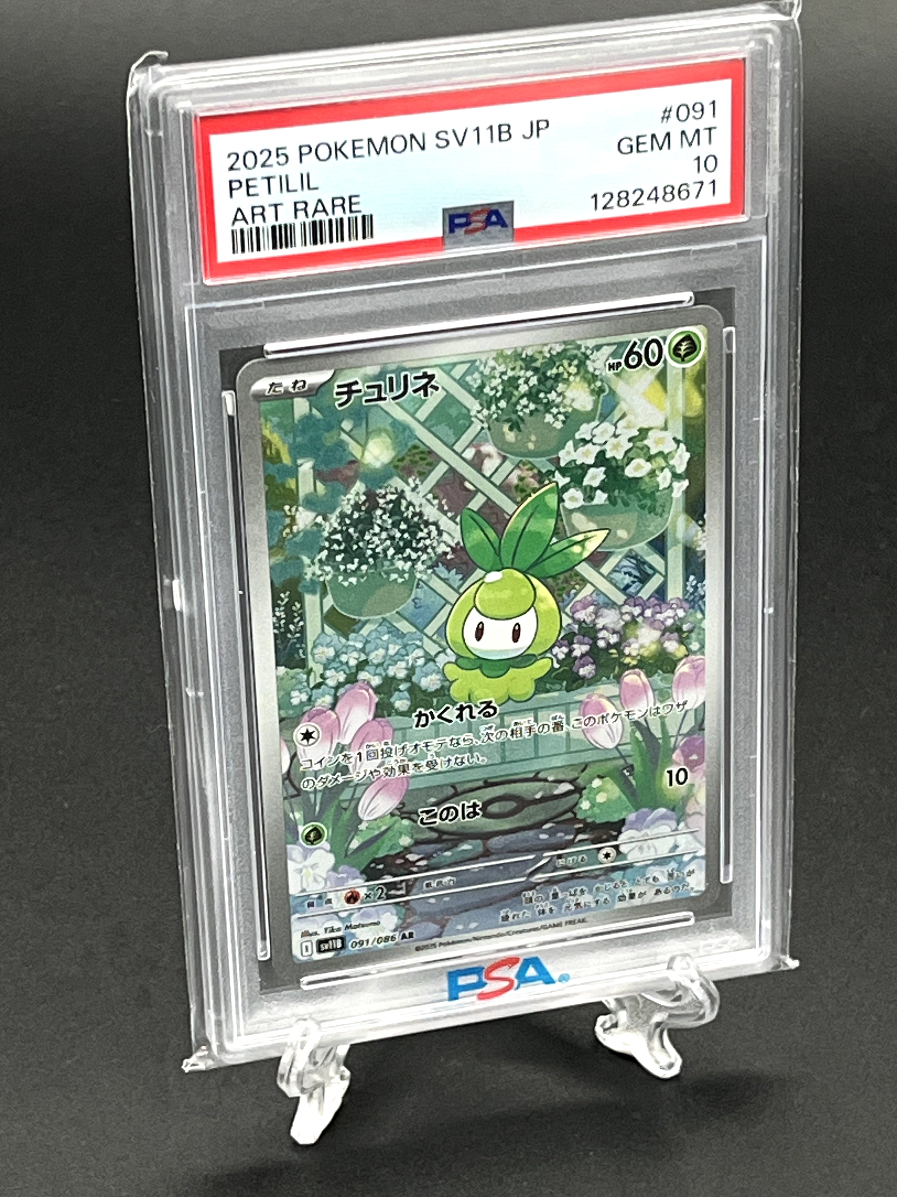 Petilil PSA 10 Photo 1