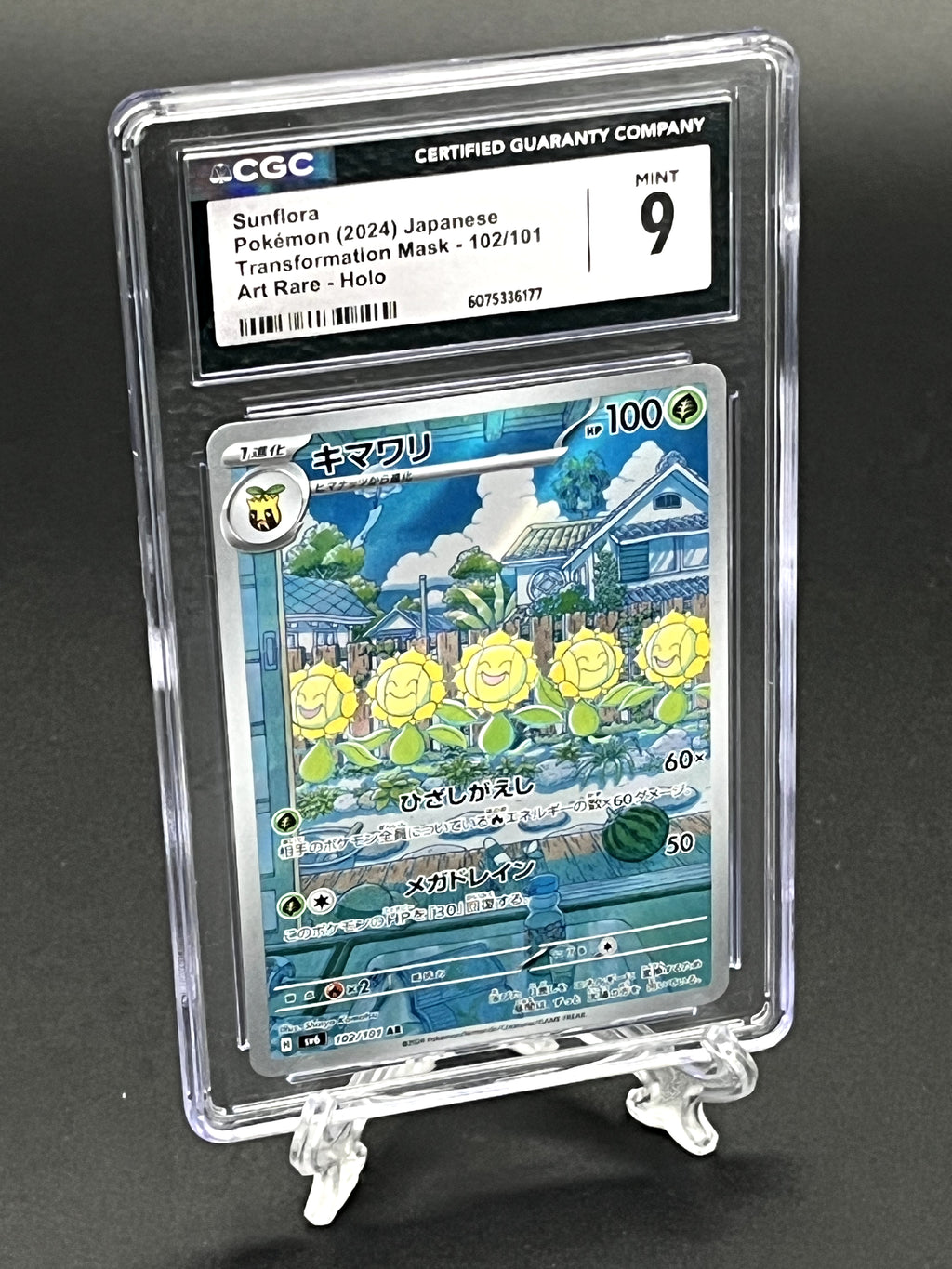 Sunflora CGC 9 Photo 1