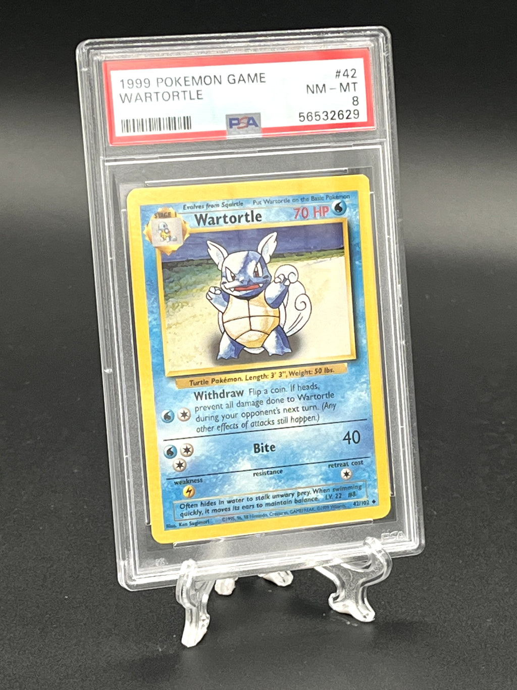 Wartortle PSA 8 Photo 3